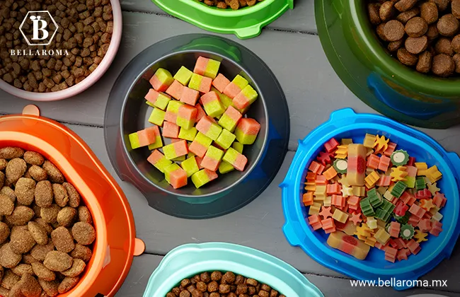 Distintos tazones con comida para mascotas con variedad de menús