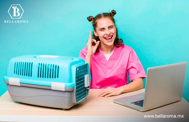 Mujer veterinaria orientando a una persona mediante una videollamada