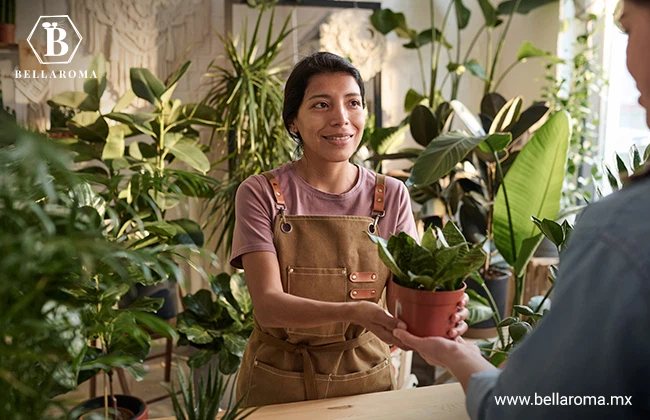 Mujer haciendo entrega de una planta a un cliente de su negocio para madres solteras